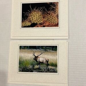 06 SET OF 12 Nature Photo Cards: elk, iguana, flower, cactus, desert arches